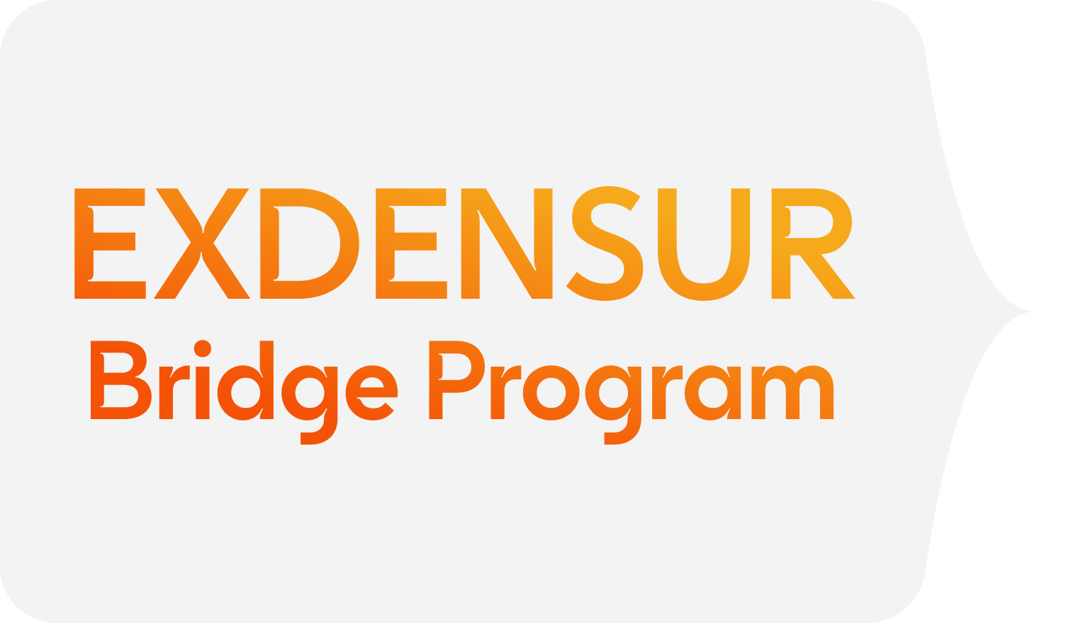 EXDENSUR Bridge Program